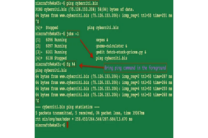 Comando em primeiro plano (FG) em sistemas Unix: sintaxe, uso e exemplos práticos