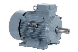 Motor de indução em gaiola de esquilo: princípio de funcionamento, tipos, vantagens e aplicações