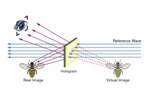 Imagem real versus imagem virtual: qual é a diferença?