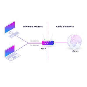 Internet Protocol (IP)
